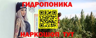 прущие грибы Ставрополь