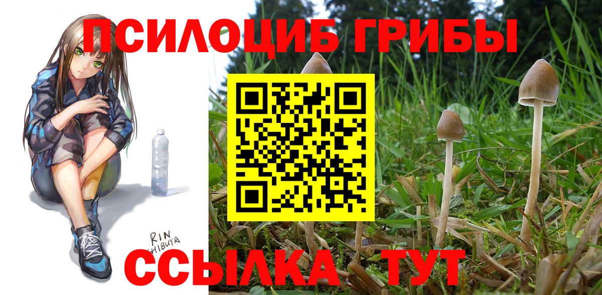 Псилоцибиновые грибы ЛСД Новосибирск