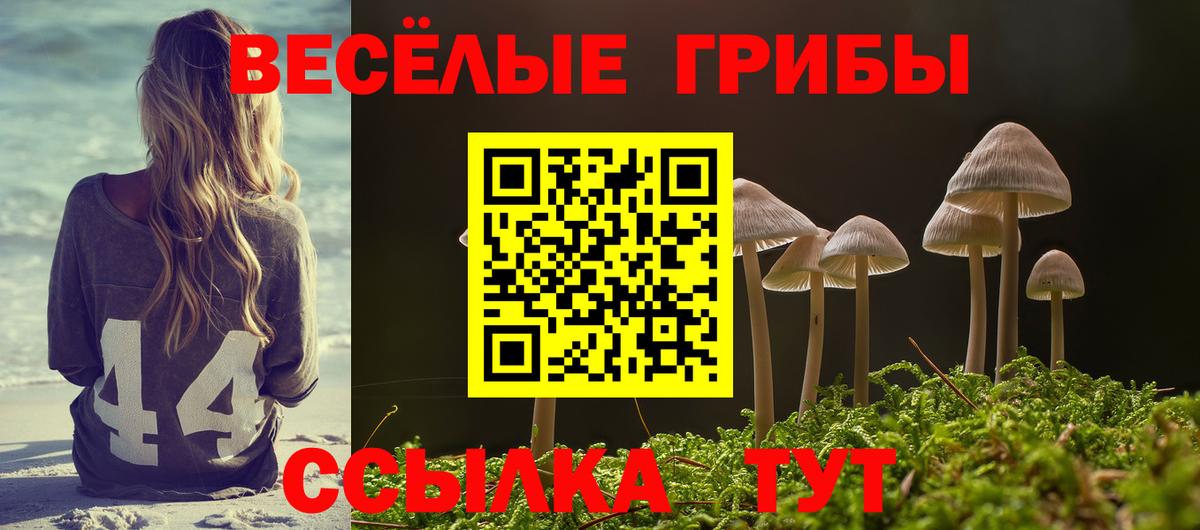 Новосибирск  Галлюциногенные грибы Cubensis  Вход с VPN 